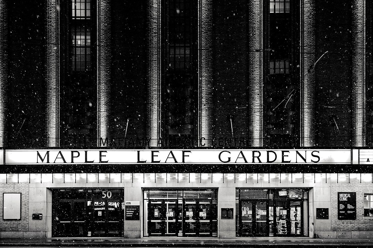 maple leaf garden