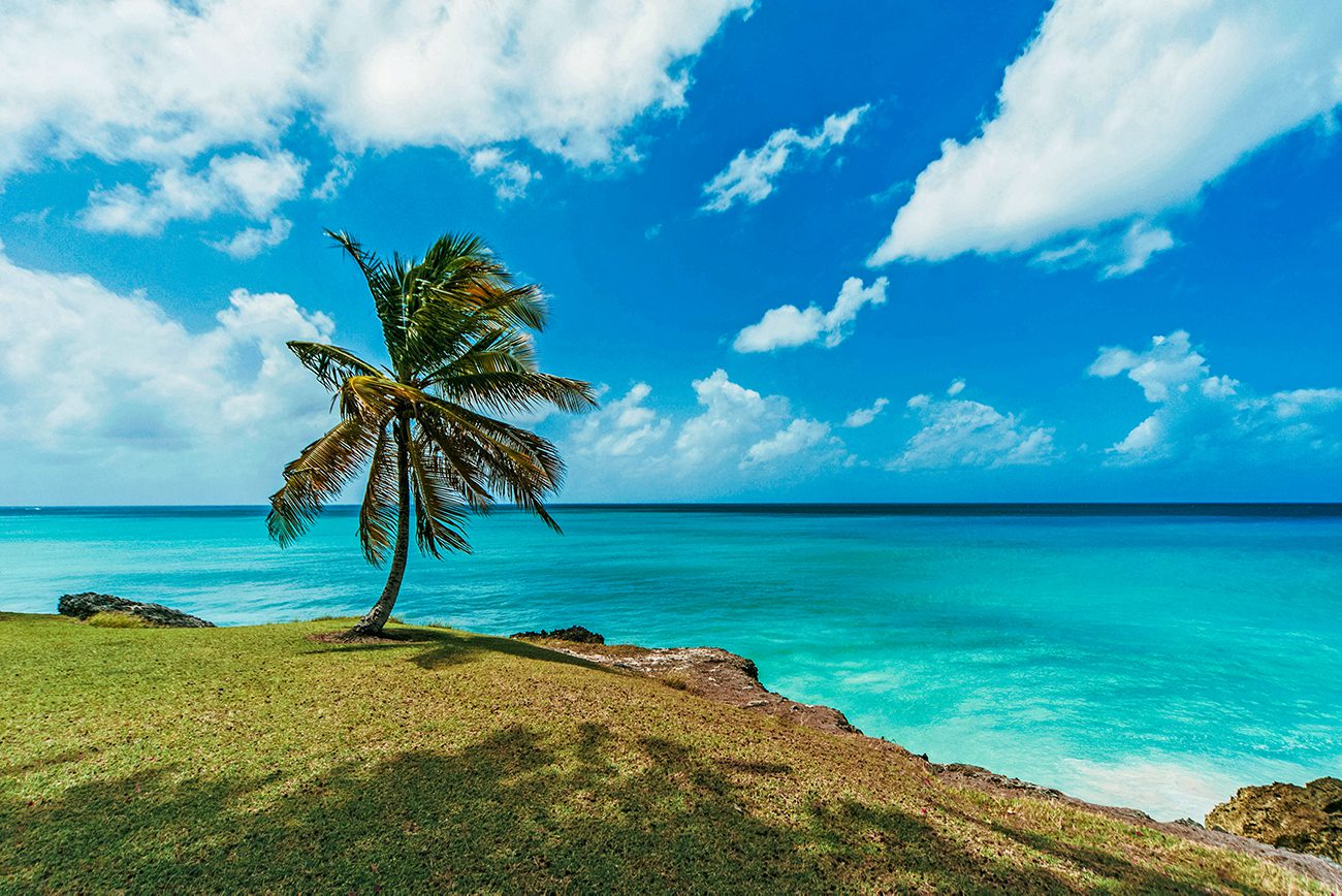 things to do barbados web